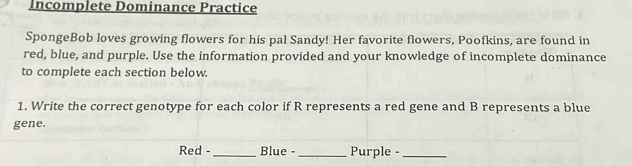 Incomplete Dominance Practice 
SpongeBob loves growing flowers for his pal Sandy! Her favorite flowers, Poofkins, are found in 
red, blue, and purple. Use the information provided and your knowledge of incomplete dominance 
to complete each section below. 
1. Write the correct genotype for each color if R represents a red gene and B represents a blue 
gene. 
Red - _Blue - _Purple -_