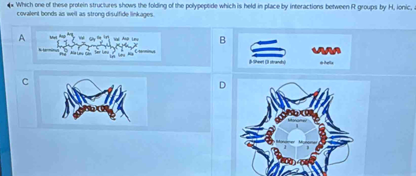 Which one of these protein structures shows the folding of the polypeptide which is held in place by interactions between R groups by H, ionic, a 
covalent bonds as well as strong disulfide linkages. 
A Met Vall Val Asp Leu 
B 
N-terminus Phe Ala Leu Gin Ser Leu lys Lêu Ala C-terminus 
an 
β-Sheet (3 strands) a-helix 
C 
D