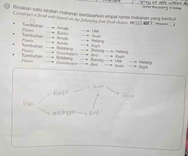 Binakan satu siratan makanan berdasarkan empat rantai makanan yang berikut. 
Construct a food web based on the following four food chains. SP 212 TP 3 Menguasai 
Tumbuhan Arnab Ular 
Plants Rabbit Snake 
Tumbuhan Helang 
Plants Arnab 
Rabbit Eagle 
Tumbuhan Belalang Burung Helang 
Plants Grasshopper Bird Eagle 
Tumbuhan Belalang Burung Ular Helang 
Plants Grasshopper Bird Snake Eagle