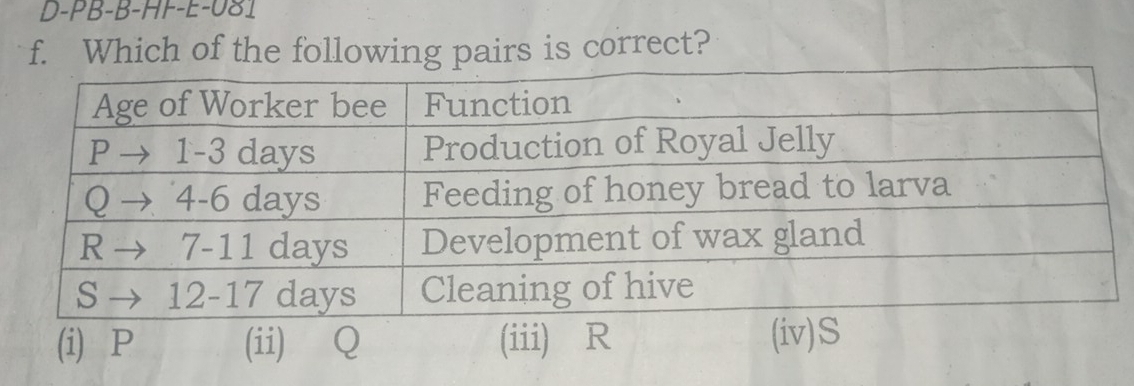 D- PB-B-HF-E-081
f. Which of the following pairs is correct?
(i) P (ii) Q (iii) R (iv) S