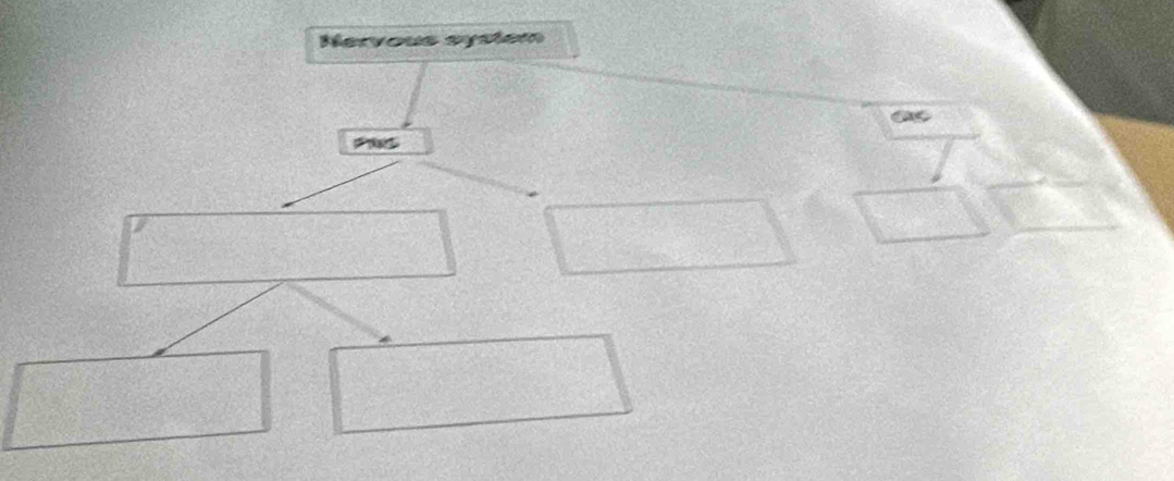 Nervous system 
a