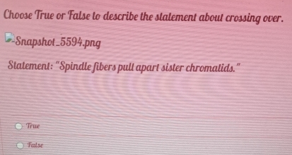 Choose True or False to describe the statement about crossing over.
Snapshot_5594.png
Statement: "Spindle fibers pult apart sister chromatids."
True
False