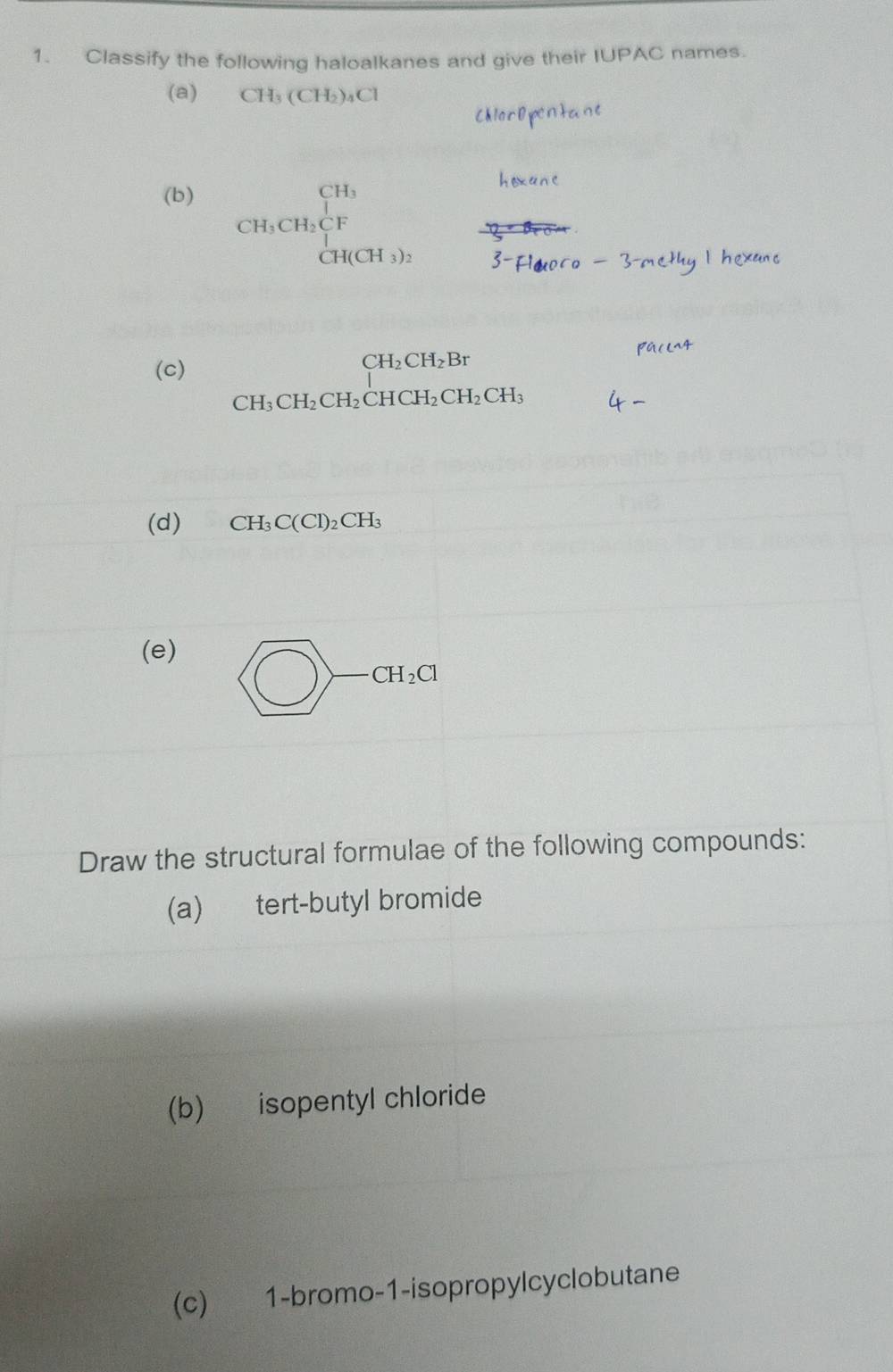 Classify the following haloalkanes and give their IUPAC names. 
(a) CH_3(CH_2)_4Cl
(b)
beginarrayr CH_3 CH_3CH_2CF endarray
CH(CH_3)_2
(c)
CH_2CH_2Br
CH_3CH_2CH_2CHCH_2CH_2CH_3
(d) CH_3C(Cl)_2CH_3
(e)

Draw the structural formulae of the following compounds: 
(a) tert-butyl bromide 
(b) isopentyl chloride 
(c) 1-bromo-1-isopropylcyclobutane