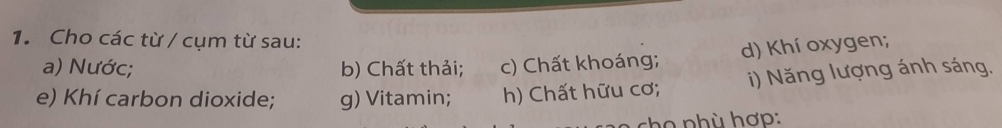 Cho các từ / cụm từ sau: 
d) Khí oxygen; 
a) Nước; b) Chất thải; c) Chất khoáng; 
i) Năng lượng ánh sáng. 
e) Khí carbon dioxide; g) Vitamin; h) Chất hữu cơ;