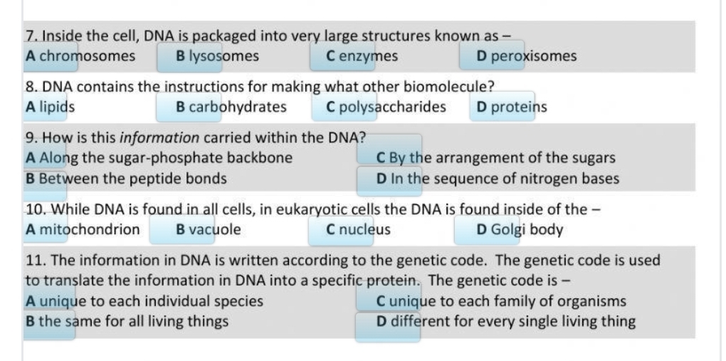 Inside the cell, DNA is packaged into very large structures known as -
A chromosomes B lysosomes C enzymes D peroxisomes
8. DNA contains the instructions for making what other biomolecule?
A lipids B carbohydrates C polysaccharides D proteins
9. How is this information carried within the DNA?
A Along the sugar-phosphate backbone C By the arrangement of the sugars
B Between the peptide bonds D In the sequence of nitrogen bases
10. While DNA is found in all cells, in eukaryotic cells the DNA is found inside of the -
A mitochondrion B vacuole C nucleus D Golgi body
11. The information in DNA is written according to the genetic code. The genetic code is used
to translate the information in DNA into a specific protein. The genetic code is -
A unique to each individual species C unique to each family of organisms
B the same for all living things D different for every single living thing