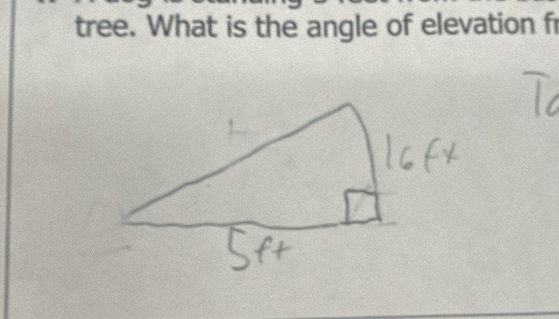 tree. What is the angle of elevation fr