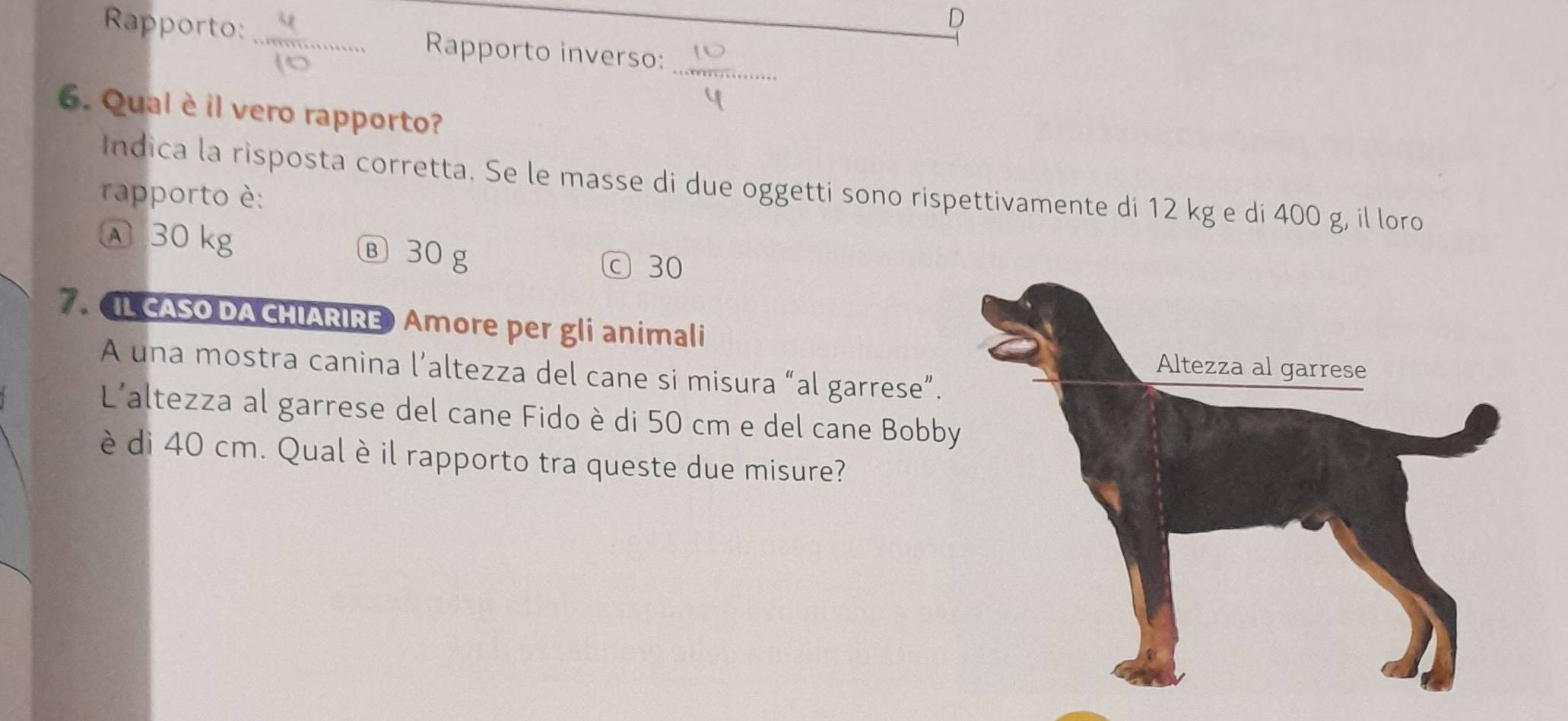 Rapporto: _Rapporto inverso:_
=19+8+1+1+1+21
6. Qual è il vero rapporto?
Indica la risposta corretta. Se le masse di due oggetti sono rispettivamente di 12 kg e di 400 g, il loro
rapporto è:
Ⓐ 30 kg Ⓑ 30 g
ⓒ 30
7. L CASO DA CHIARIRE Amore per gli animali
A una mostra canina l’altezza del cane si misura “al garrese”.
L'altezza al garrese del cane Fido è di 50 cm e del cane Bobby
è di 40 cm. Qual è il rapporto tra queste due misure?