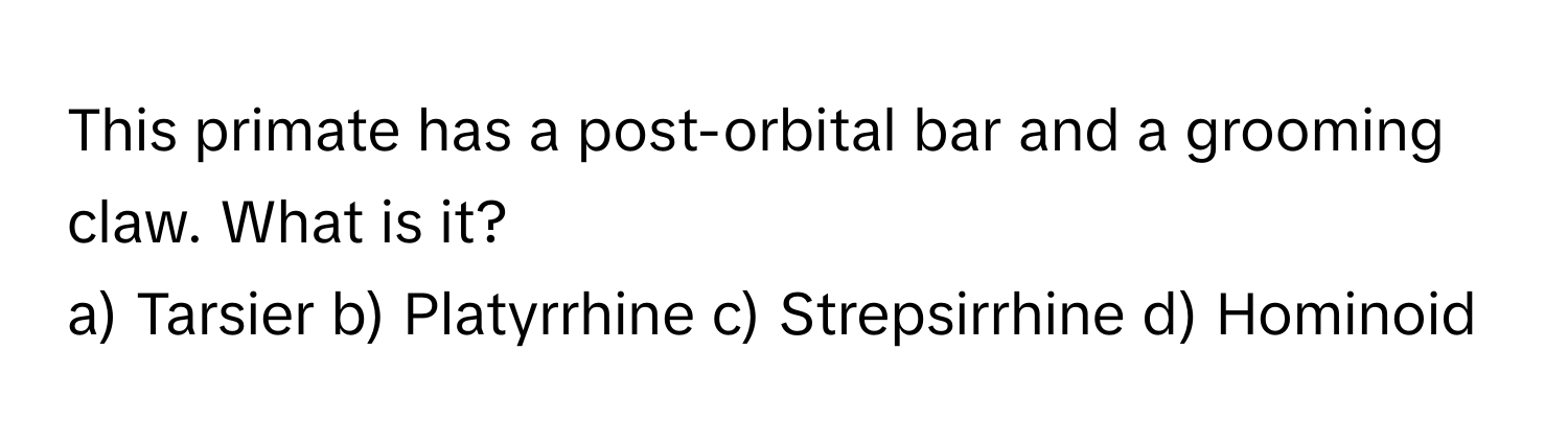 This primate has a post-orbital bar and a grooming claw. What is it?

a) Tarsier b) Platyrrhine c) Strepsirrhine d) Hominoid