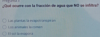 Pregunta 3
¿Qué ocurre con la fracción de agua que NO se infiltra?
Las plantas la evapotranspiran
Los animales la comen
El sol la evapora