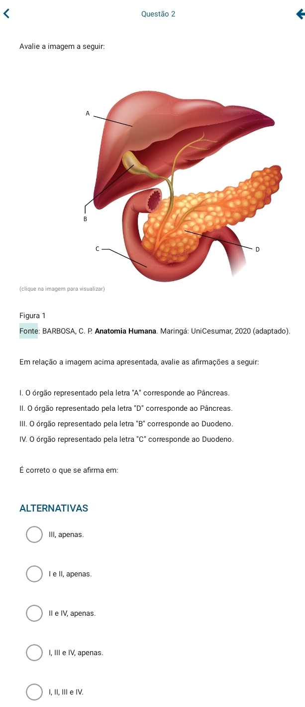 Avalie a imagem a seguir:
(clique na imagem p
Figura 1
Fonte: BARBOSA, C. P Anatomia Humana. Maringá: UniCesumar, 2020 (adaptado).
Em relação a imagem acima apresentada, avalie as afirmações a seguir:
I. O órgão representado pela letra "A" corresponde ao Pâncreas.
II. O órgão representado pela letra 'D'' corresponde ao Pâncreas.
III. O órgão representado pela letra ''B'' corresponde ao Duodeno.
IV. O órgão representado pela letra "C" corresponde ao Duodeno.
É correto o que se afirma em:
ALTERNATIVAS
III, apenas.
I e II, apenas.
II e IV, apenas.
I, III e IV, apenas.
I, II, III e IV.