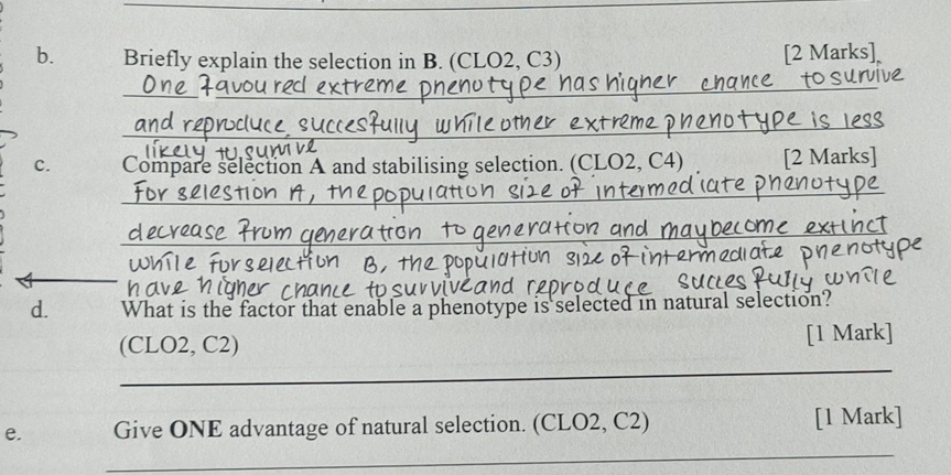 Briefly explain the selection in B. (CLO2, C3) [2 Marks] 
__ 
_ 
c. Compare selection A and stabilising selection. (CLO2, C4) [2 Marks] 
_ 
_ 
_ 
_ 
_ 
d. What is the factor that enable a phenotype is selected in natural selection? 
(CLO2, C2) [1 Mark] 
_ 
e. Give ONE advantage of natural selection. (CLO2, C2) [1 Mark] 
_