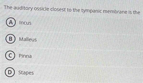 The auditory ossicle closest to the tympanic membrane is the
AIncus
B Malleus
C Pinna
D Stapes