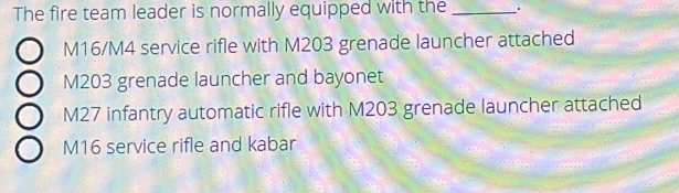 The fire team leader is normally equipped with the _.
M16/M4 service rifle with M203 grenade launcher attached
M203 grenade launcher and bayonet
M27 infantry automatic rifle with M203 grenade launcher attached
M16 service rifle and kabar