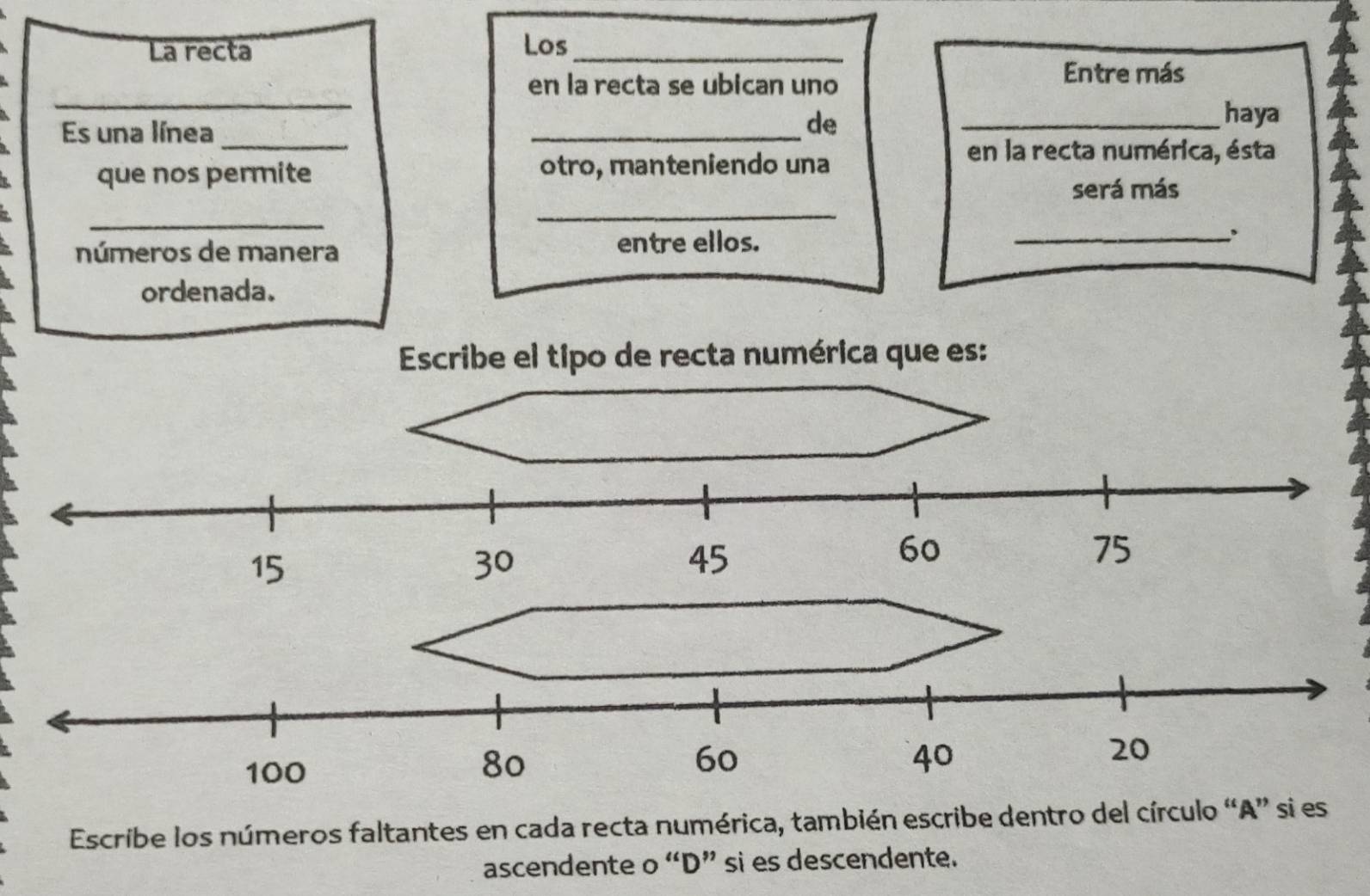 La recta Los_ 
_ 
en la recta se ubican uno 
Entre más 
Es una línea 
_ 
_de 
_haya 
que nos permite otro, manteniendo una 
en la recta numérica, ésta 
será más 
_ 
_ 
números de manera entre ellos. _. 
ordenada. 
Escribe el tipo de recta numérica que es:
15
30
45
60
75
100
80
60
40
20
Escribe los números faltantes en cada recta numérica, también escribe dentro del círculo “ A ” si es 
ascendente o “D” si es descendente.