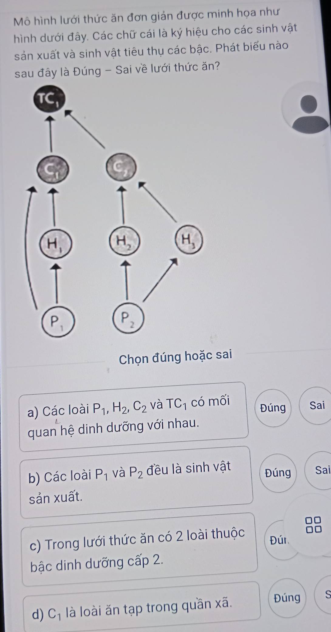 Mô hình lưới thức ăn đơn giản được minh họa như
hình dưới đây. Các chữ cái là ký hiệu cho các sinh vật
sản xuất và sinh vật tiêu thụ các bậc. Phát biểu nào
sau đây là Đúng - Sai về lưới thức ăn?
Chọn đúng hoặc sai
a) Các loài P_1,H_2,C_2 và TC_1 có mối
Đúng Sai
quan hệ dinh dưỡng với nhau.
b) Các loài P_1 và P_2 đều là sinh vật
Đúng Sai
sản xuất.
c) Trong lưới thức ăn có 2 loài thuộc
Đúr
bậc dinh dưỡng cấp 2.
d) C_1 là loài ăn tạp trong quần xã.
Đúng S