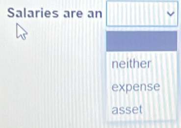 Salaries are an 
neither 
expense 
asset