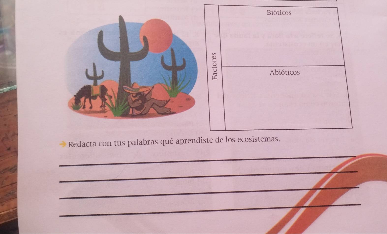 Bióticos 
Abióticos 
Redacta con tus palabras qué aprendiste de los ecosistemas. 
_ 
_ 
_ 
_