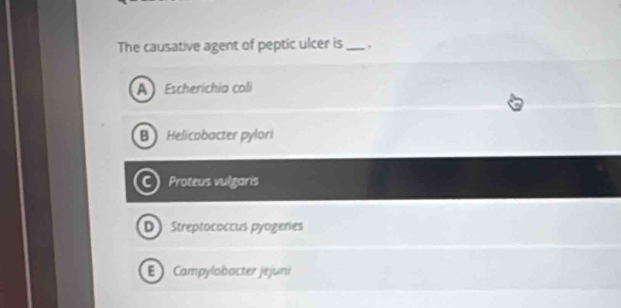 The causative agent of peptic ulcer is _.
Escheríchia coli
Helicobacter pylori
Proteus vulgaris
Streptococcus pyogeñes
Campylobacter jejuni