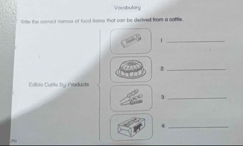 Vocabulary 
Vrite the correct names of food items that can be derived from a cattle. 
_1 
_2 
Edible Cattle By-Products 
_3 
_4 
EPH