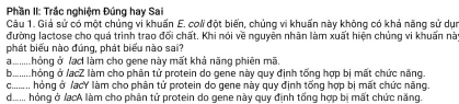 Phần II: Trắc nghiệm Đúng hay Sail
Câu 1. Giả sử có một chủng vi khuấn E. coli đột biến, chủng vi khuấn này không có khả năng sử dụn
đường lactose cho quá trình trao đối chất. Khi nói về nguyên nhân làm xuất hiện chủng vi khuấn nà
phát biểu nào đúng, phát biểu nào sai?
a_ hỏng ở lạc làm cho gene này mất khả năng phiên mã.
b_ hỏng ở /acZ làm cho phân tử protein do gene này quy định tống hợp bị mất chức năng.
C.....
hỏng ở JacY làm cho phân tử protein do gene này quy định tống hợp bị mất chức năng.
d.... hỏng ở JạcA làm cho phân tử protein do gene này quy định tống hợp bị mất chức năng.