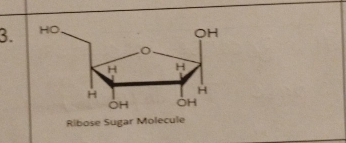 Ribose Sugar Mol