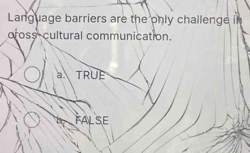 Language barriers are the only challenge in
cross cultural communication.
a. TRUE
False