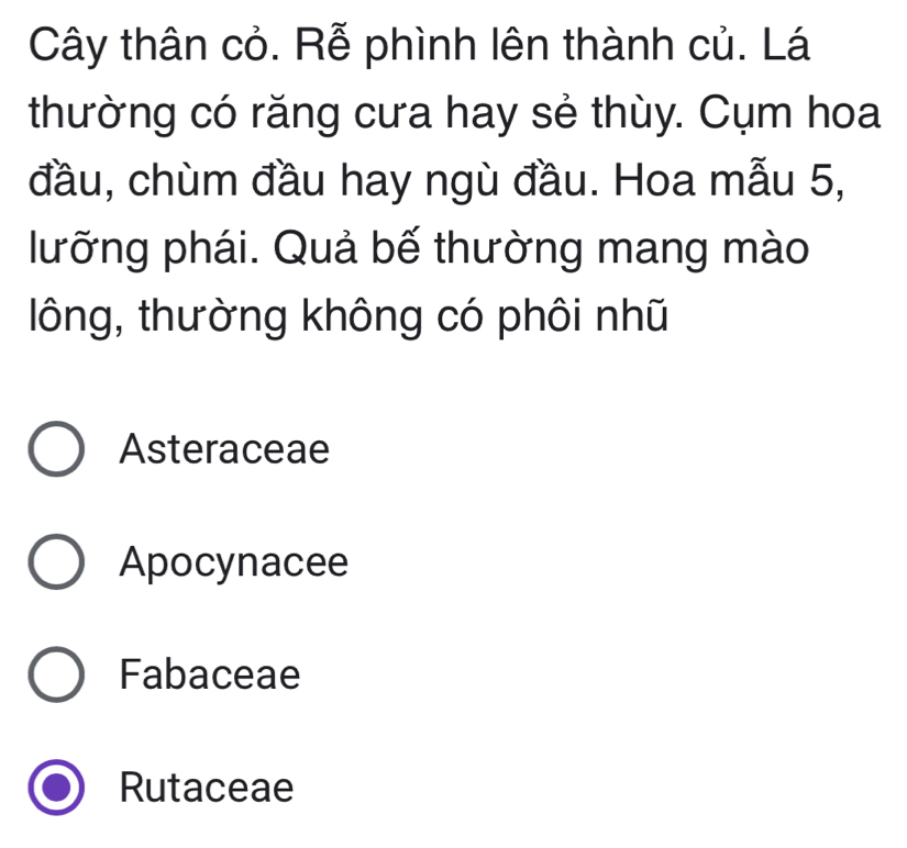 Cây thân cỏ. Rễ phình lên thành củ. Lá
thường có răng cưa hay sẻ thùy. Cụm hoa
đầu, chùm đầu hay ngù đầu. Hoa mẫu 5,
lưỡng phái. Quả bế thường mang mào
lông, thường không có phôi nhũ
Asteraceae
Apocynacee
Fabaceae
Rutaceae