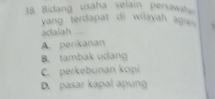 Bidang usaha selain persawahan
yang terdapat di wilayah agrai.
adalah ....
A. perikanan
B. tambak udang
C. perkebunan kopi
D. pasar kapal apung