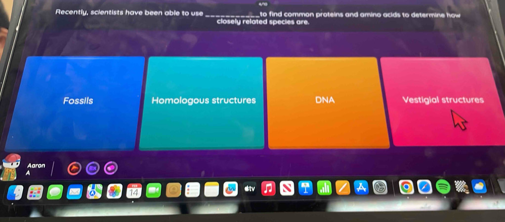 Recently, scientists have been able to use _to find common proteins and amino acids to determine how 
closely related species are.
Fossils Homologous structures DNA Vestigial structures
Aaron
A
14