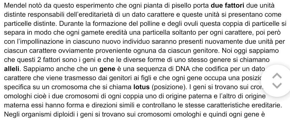 Mendel notò da questo esperimento che ogni pianta di pisello porta due fattori due unità 
distinte responsabili dell'ereditarietà di un dato carattere e queste unità si presentano come 
particelle distinte. Durante la formazione del polline e degli ovuli questa coppia di particelle si 
separa in modo che ogni gamete eredità una particella soltanto per ogni carattere, poi però 
con l'impollinazione in ciascuno nuovo individuo saranno presenti nuovamente due unità per 
ciascun carattere ovviamente proveniente ognuna da ciascun genitore. Noi oggi sappiamo 
che questi 2 fattori sono i geni e che le diverse forme di uno stesso genere si chiamano 
alleli. Sappiamo anche che un gene è una sequenza di DNA che codifica per un dato 
carattere che viene trasmesso dai genitori ai figli e che ogni gene occupa una posizic 
specifica su un cromosoma che si chiama Iotus (posizione). I geni si trovano sui cror. 
omologhi cioè i due cromosomi di ogni coppia uno di origine paterna e l'altro di origine 
materna essi hanno forma e direzioni simili e controllano le stesse caratteristiche ereditarie. 
Negli organismi diploidi i geni si trovano sui cromosomi omologhi e quindi ogni gene è