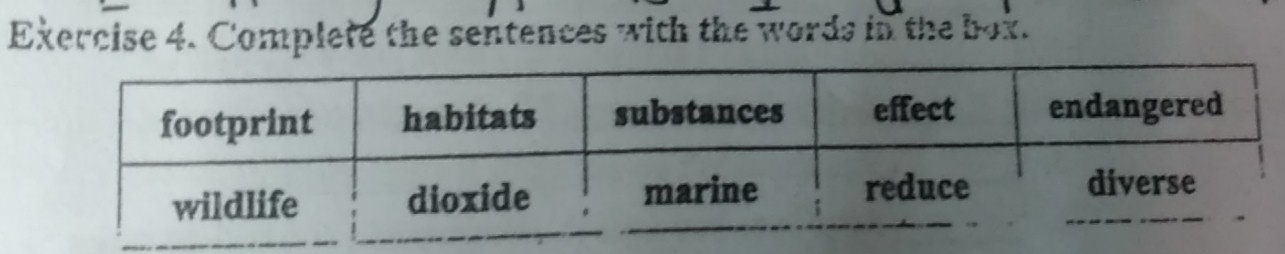 Complete the sentences with the words in the box.