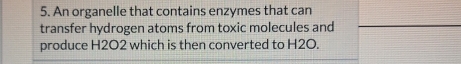 An organelle that contains enzymes that can 
transfer hydrogen atoms from toxic molecules and 
produce H2O2 which is then converted to H2O.