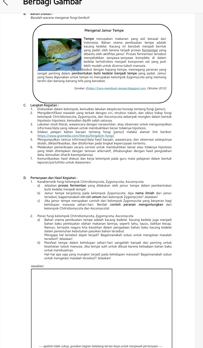 Berbagí Gambár
D. Daran Diskusi :
Bacalah wacana mengenai fungi berikut!
Mengenal Jamur Tempe
Tempe merupakan makanan yang asli berasal dari
Indonesia. Bahan utama pembuatan tempe adalah
kacang kedelai. Kacang ini berubah menjadi bentuk
yang padat oleh karena terjadi proses fermentasi yang
dibantu oleh aktifitas jamur. Proses fermentasi tersebut
menyebabkan senyawa-senyawa kompleks di dalam
kedelai terhidrolisis menjadi komponen zat yang jauh
ebih mudah untuk dicerna tubuh manusia.
sebut dengan kapang tempe, memegang peranan yang
sangat penting dalam pembentukan butir kedelai menjadi tempe yang padat. Jamur
yang biasa digunakan untuk tempe ini merupakan kelompok Zygomycota yang memang
terdiri dari benang-benang hifa yang bersekat.
Sumber: (https://cara-membuat-tempe.blogspot.com, Oktober 2012)
C. Langkah Kegiatan :
1. Diskusikan dalam kelompok, kemudian lakukan eksplorasi konsep tentang fungi (jamur).
2. Mengidentifikasi masalah yang terkait dengan ciri, struktur tubuh, dan siklus hidup fungi
kelompok Chitridiomycota, Zygomycota, dan Ascomycota sebanyak mungkin dalam bentuk
hipotesis-hipotesis, kemudian dipilih salah satunya.
3. Lakukan studi literat, wawancara dengan narasumber, atau observasi untuk mengumpulkan
informasi/data yang relevan untuk membuktikan benar tidaknya hipotesis.
4. Silakan pelajari bahan bacaan tentang fungi (jamur) melalui alamat link berikut:
https://www.gramedia.com/literasi/kingdom-fungi/
5. Mengumpulkan semua informasi/data hasil bacaan, wawancara, dan observasi selanjutnya
diolah, diklasifikasikan, dan ditafsirkan pada tingkat kepercayaan tertentu.
6. Melakukan pemeriksaan secara cermat untuk membuktikan benar atau tidaknya hipotesis
yang telah ditetapkan dengan temuan alternatif, dihubungkan dengan hasil pengolahan
data, kemudian ditarik kesimpulannya.
7. Komunikasikan hasil diskusi dan kerja kelompok pada guru mata pelajaran dalam bentuk
laporan/portofolio untuk diasesmen.
D. Pertanyaan dan Hasil Kegiatan :
1. Karakteristik fungi kelompok Chitridiomycota, Zygomycota, Ascomycota
a) Jelaskan proses fermentasi yang dilakukan oleh jamur tempe dalam pembentukan
butir kedelai menjadi tempe!
b) Jamur tempe tergolong pada kelompok Zygomycota. Apa nama ilmiah dari jamur
tersebut, bagaimanakah ciri-ciri umum dari kelompok Zygomycota? Jelaskan!
c) Jika jamur tempe merupakan contoh dari kelompok Zygomýcota yang berperan bagi
kehidupan manusia sehari-hari. Berilah contoh peranan mengüntungkan dari
kelompok Chitridiomycota dan Ascomycota
2. Peran fungi kelompok Chitridiomycota, Zygomycota, Ascomycota
a) Bahan utama pembuatan tempe adaïah kacang kedelai. Kacang kedelai juga menjadi
bahan baku pembuatan olahan makanan lainnya, seperti tahu, tauco, bahkan kecap.
Namun, ternyata neqara kita kesulitan dalam pengadaan bahan baku kacanq kedelai
dalam pemenuhan kebutuhan pasokan bahan tersebut.
Mengapa hal tersebut dapat terjadi? Bagaimanakah solusi untuk mengatasi masalah
tersebut? Jelaskan!
b) Manfaat tempe dalam kehidupan sehari-hari sangatlah banyak dan penting untuk
kesehatan tubuh manusia. Jika tempe sulit untuk dibuat karena ketiadaan bahan baku
untuk membuatnya.
Hal-hal apa saja yang mungkin terjadi pada kehidupan manusia? Bagaimanakah solusi
untuk mengatasi masalah tersebut? Jelaskan
Jawaban:
--- apabila tidak cukup, qunakan baqian belakanq kertas kerja untuk menjawab pertanyaan ---