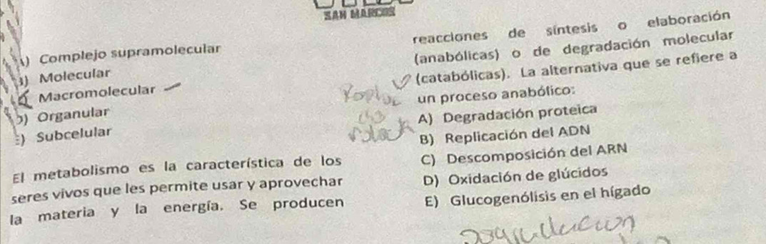 reacciones de síntesis o elaboración
(anabólicas) o de degradación molecular
) Complejo supramolecular
3) Molecular
(catabólicas). La alternativa que se refiere a
Macromolecular
un proceso anabólico:
) Organular
A) Degradación proteica
) Subcelular
B) Replicación del ADN
El metabolismo es la característica de los
C) Descomposición del ARN
seres vivos que les permite usar y aprovechar D) Oxidación de glúcidos
la materia y la energía. Se producen
E) Glucogenólisis en el hígado