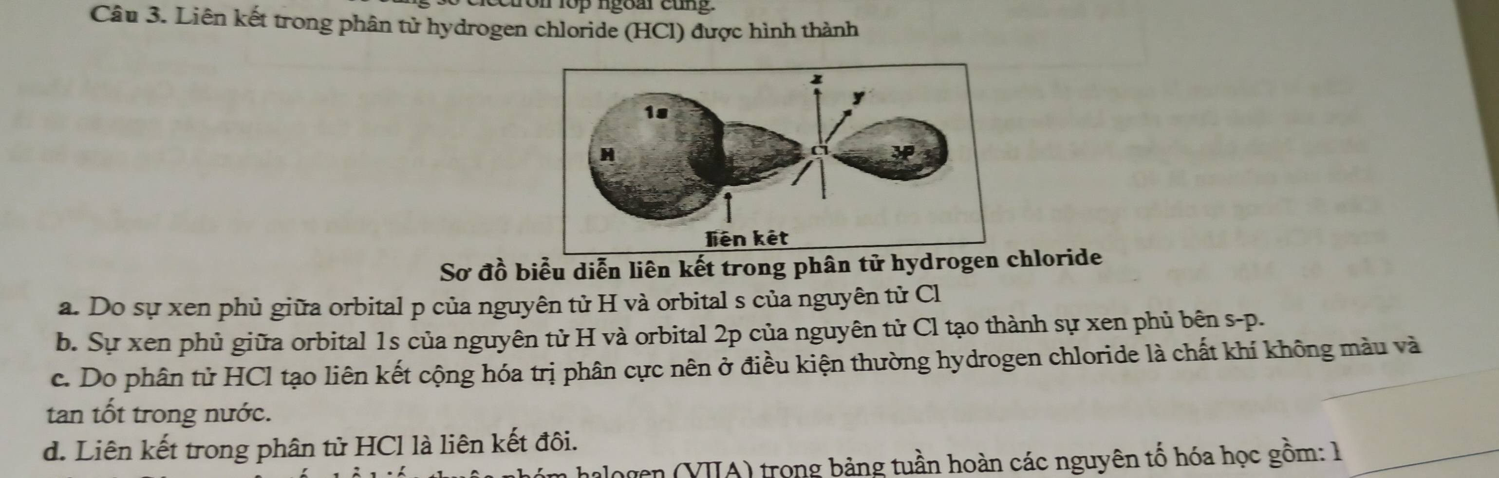 lop ngoàr cun g 
Câu 3. Liên kết trong phân tử hydrogen chloride (HCl) được hình thành 
Sơ đồ biểu diễn liên kết trong phân tử hydrogen chloride 
a. Do sự xen phủ giữa orbital p của nguyên tử H và orbital s của nguyên tử C 
b. Sự xen phủ giữa orbital 1s của nguyên tử H và orbital 2p của nguyên tử Cl tạo thành sự xen phủ bện s-p. 
c. Do phân tử HCl tạo liên kết cộng hóa trị phân cực nên ở điều kiện thường hydrogen chloride là chất khí không màu và 
tan tốt trong nước. 
d. Liên kết trong phân tử HCl là liên kết đôi. 
halogen (VIA) trong bảng tuần hoàn các nguyên tố hóa học gồm: 1