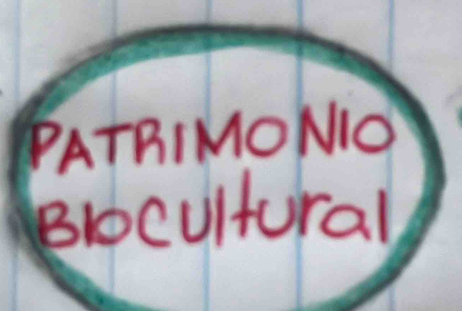 PATRIMONO 
Blocultural