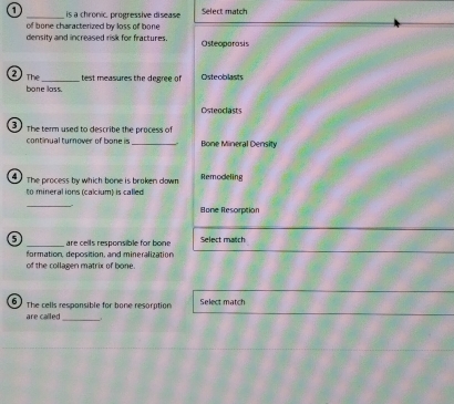 1 _is a chronic, progressive disease Select match
of bone characterized by loss of bone
density and increased risk for fractures. Osteoparasis
2 The_ test measures the degree of Osteoblasts
bone loss.
Osteoclasts
3 The term used to describe the process of
continual turnover of bone is_ ., Bone Mineral Density
The process by which bone is broken down Remodeling
to mineral ions (calcium) is called
_
Bone Resorption
5 _are cells responsible for bone Select match
formation, deposition, and mineralization
of the collagen matrix of bone.
6 The cells responsible for bone resorption Select match
are called_