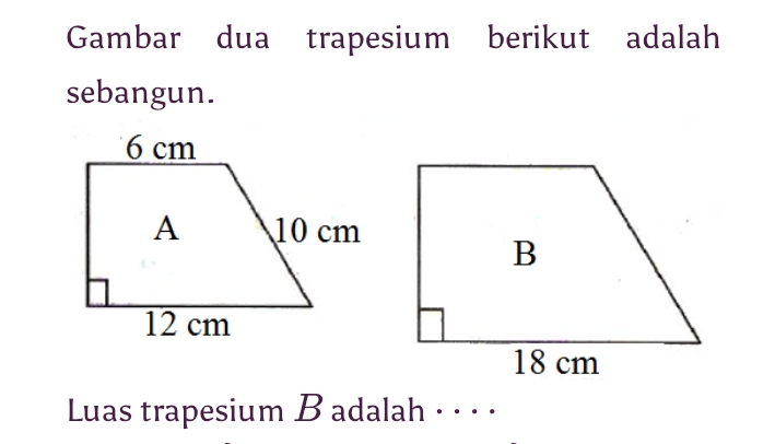 Gambar dua trapesium berikut adalah 
sebangun. 
Luas trapesium B adalah · · · ·