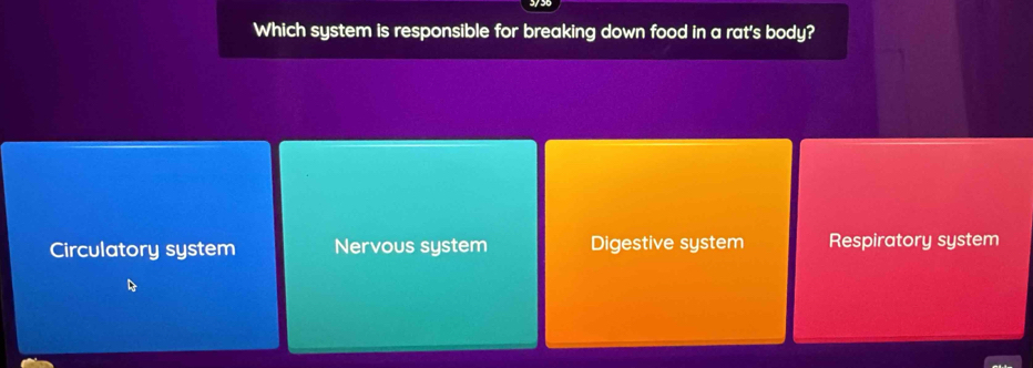 Which system is responsible for breaking down food in a rat's body?
Circulatory system Nervous system Digestive system Respiratory system