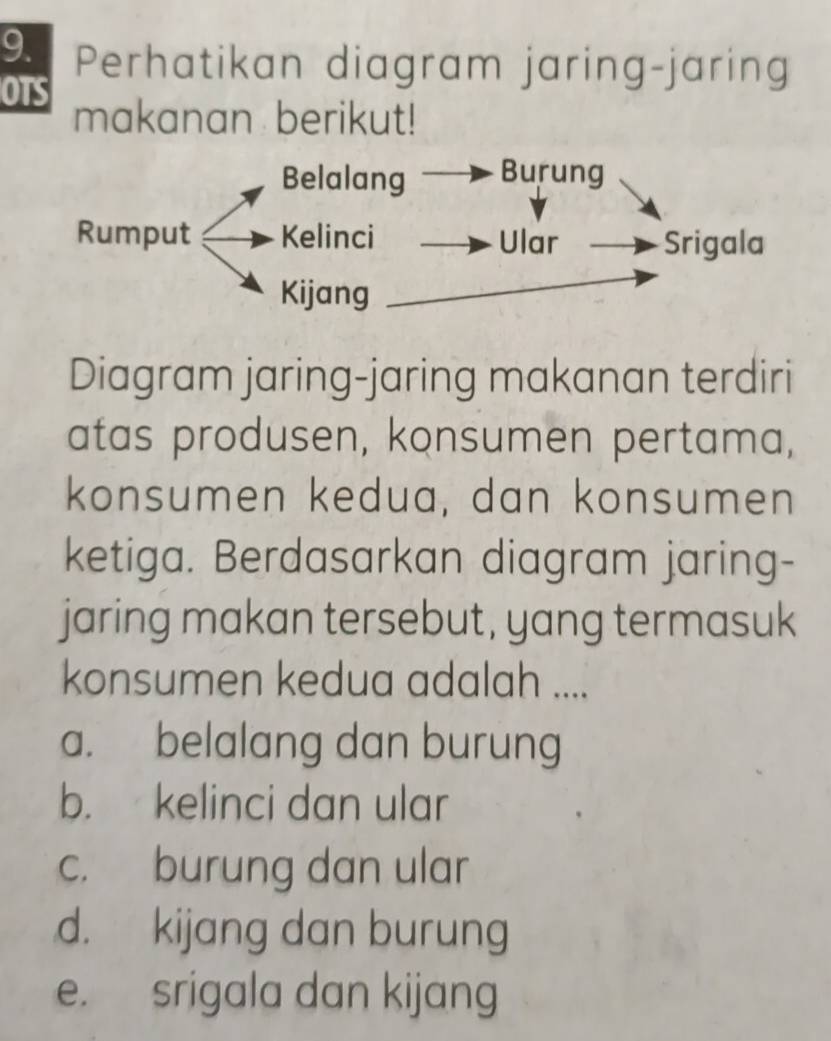 Perhatikan diagram jaring-jaring
OTS makanan berikut!
Diagram jaring-jaring makanan terdiri
atas produsen, konsumen pertama,
konsumen kedua, dan konsumen
ketiga. Berdasarkan diagram jaring-
jaring makan tersebut, yang termasuk
konsumen kedua adalah ....
a. belalang dan burung
b. kelinci dan ular
c. burung dan ular
d. kijang dan burung
e. srigala dan kijang