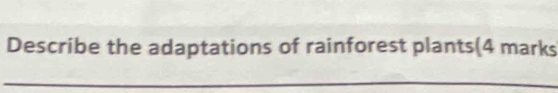 Describe the adaptations of rainforest plants(4 marks