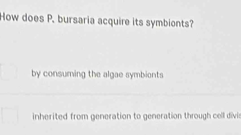 How does P. bursaria acquire its symbionts?
by consuming the algae symbients
inherited from generation to generation through cell divis