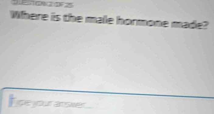 Where is the male hormone made? 
I deyour ansver.