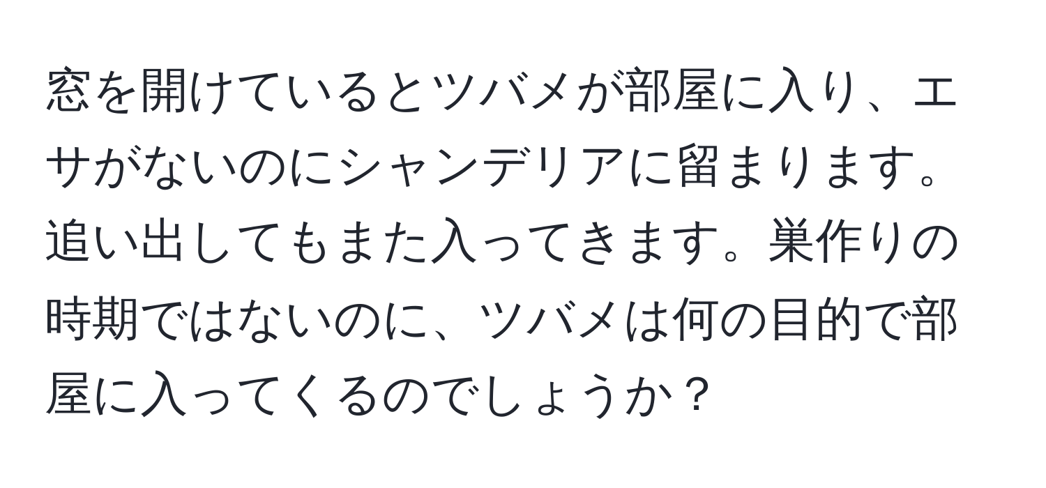 窓を開けているとツバメが部屋に入り、エサがないのにシャンデリアに留まります。追い出してもまた入ってきます。巣作りの時期ではないのに、ツバメは何の目的で部屋に入ってくるのでしょうか？