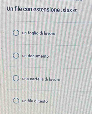 Un file con estensione .xlsx è:
un foglio di lavoro
un documento
una cartella di lavoro
un file di testo