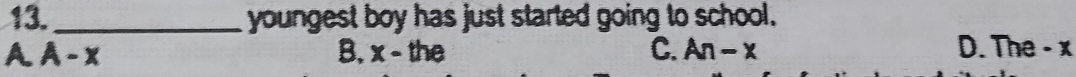 youngest boy has just started going to school.
A A-x
B. x-t he C. An-x D. The - x