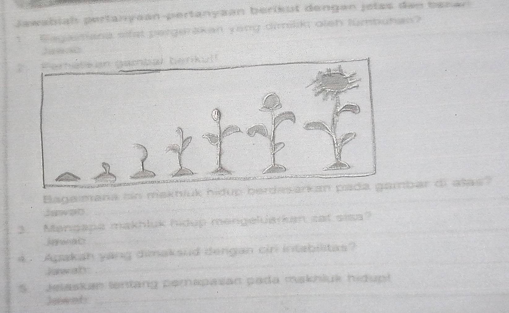 Jewabiah pertanyean pertanysan bérisut dengen jetes den ben e
dish lumbuten '
N M
` 
Bagamana mn m² arean padbar o alas
Jan pó
3. Mangapa makhluk hidup mangeluaran sst sias?
4 . Apakan yang dimaksud dengan cin intebistas?
kow aty
Jeaskan tenang pemapasan pada makhiuk hidupl
Jewod