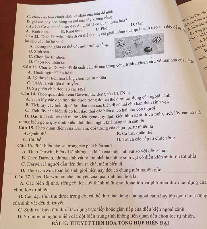 C. chân của loài chuột chũi và chân của loài đế nhũi.
D. gai của cây hoa hồng và gai của cây xương rồng
lu 2: Sự thay đổi
Câu 11: Cơ quan nào sau đây ở người là cơ quan thoái hóa?
C. Phổi. D. Gan.
anh kích thước
A. Ruột non. B. Ruột thừa.
Cầâu 12. Theo Darwin, biển dị cá thể ở sinh vật png qua quá trình nào sau đây đề di tra
A. hiệu ứng t
Câu 3: Khi C. dòng ger
lại cho các thế hệ sau?
A. Kê
A. Tương tác giữa cá thể với môi trường sống.
dạng di t
B. Sinh sản.
B
C. Chọn lọc tự nhiên.
quần
D. Chọn lọc nhân tạo.
Câu 13. Charles Darwin đã đề xuất vấn đề nảo trong công trình nghiên cứu về tiến hóa của mình?
A. Thuật ngữ: “Tiến hóa”
B. Lý thuyết tiến hóa bằng chọn lọc tự nhiên
C. DNA là vật liệu di truyền.
D. Sự phân chia độc lập các NST
Câu 14. Theo quan điểm của Darwin, tác động của CLTN là
A. Tích lũy các đặc tính thu được trong đời cá thể dưới tác dụng của ngoại cảnh
B. Tích lũy các biển dị có lợi, đào thải các biển dị có hại cho bản thân sinh vật.
C. Tích lũy các biển dị có lợi, đào thải các biển dị có hại cho con người
D. Đào thải các cá thể mang kiểu gene quy định kiều hình kém thích nghi, tích lũy các cá thể
mang kiểu gene quy định kiểu hình thích nghi, khả năng sinh sản tốt.
Câu 15. Theo quan điểm của Darwin, đối tượng của chọn lọc tự nhiên là
A. Quần thể. B. Cá thể, quần thể.
C. Cá thể. D. Tất cả các cấp tổ chức sống.
Câu 16. Phát biểu nào sai trong các phát biểu sau?
A. Theo Darwin, biến dị là những sai khác của một sinh vật so với đồng loại.
B. Theo Darwin, những sinh vật to lớn nhất là những sinh vật có điều kiện sinh tồn tốt nhất.
C. Darwin là người đầu tiên đưa ra khái niệm biến dị.
D. Theo Darwin, toàn bộ sinh giới hiện nay đều có chung một nguồn gốc.
Câu 17. Theo Darwin, cơ chế chủ yếu của quá trình tiến hoá là:
A. Các biến dị nhỏ, riêng rẽ tích luỹ thành những sai khác lớn và phổ biến dưới tác dụng của
chọn lọc tự nhiên
B. Các đặc tính thu được trong đời cá thể dưới tác dụng của ngoại cảnh hay tập quán hoạt động
của sinh vật đều di truyền
C. Sinh vật biến đổi dưới tác dụng trực tiếp hoặc gián tiếp của điều kiện ngoại cảnh.
D. Sự củng cố ngẫu nhiên các đột biến trung tính không liên quan đến chọn lọc tự nhiên.
bài 17: thuyÉT tiến hóa tổng hợp hiện đại