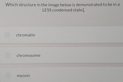 Which structure in the image below is demonstrated to be in a
LESS condensed state
chromatin
chromosome
myosin