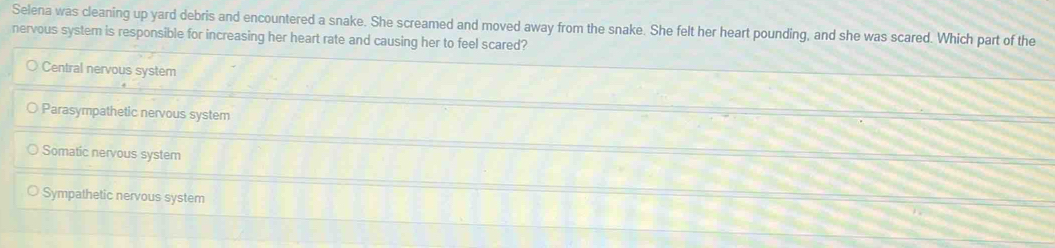 Selena was cleaning up yard debris and encountered a snake. She screamed and moved away from the snake. She felt her heart pounding, and she was scared. Which part of the
nervous system is responsible for increasing her heart rate and causing her to feel scared?
Central nervous system
Parasympathetic nervous system
Somatic nervous system
Sympathetic nervous system